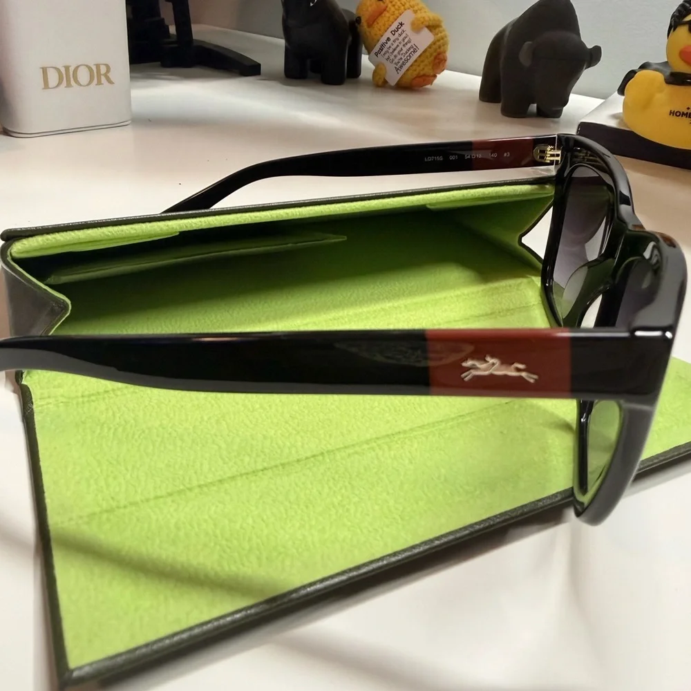 Longchamp nwot sleek